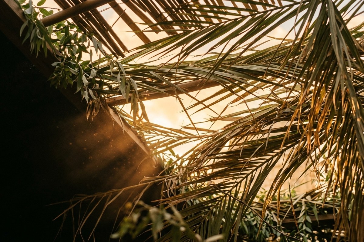 Sukkot (Chag HaSukkot) at Lord of the Breakthrough, Sunday 27 September · 9:30am